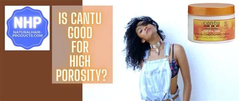 Is Cantu Good For High Porosity Hair The Truth