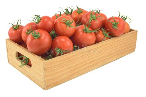 Tomatoes In A Wooden Box Isolated Stock Image Image Of Packaging