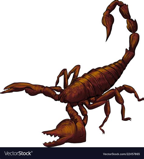 Realistic Scorpion Cartoon Royalty Free Vector Image