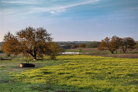 Spring Morning on the Texas Prairie Photograph by Kim Anderson