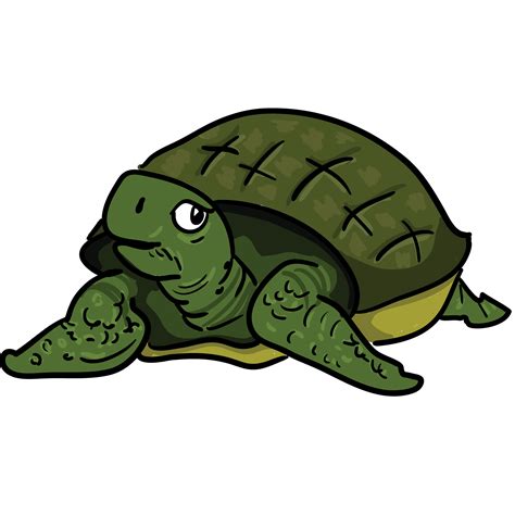 Cute Turtle Png Tortoise Clipart Png Transparent Png Vhv Clip