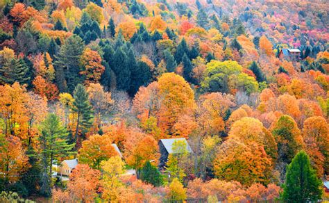 Beautiful Fall Foliage In The Northeast Usa Stock Photo Image Of