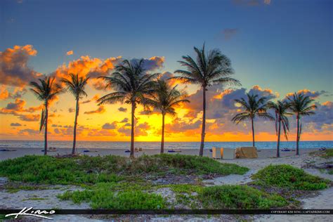 Sunrise Riviera Beach Florida Coconut Trees Hdr Photography By