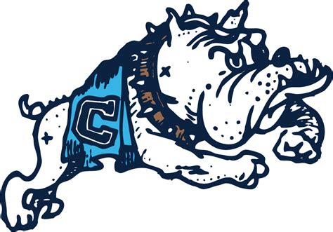 The Citadel Bulldogs Logo Secondary Logo Ncaa Division I S T