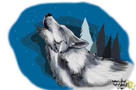 How To Draw A Wolf Howling Drawingnow