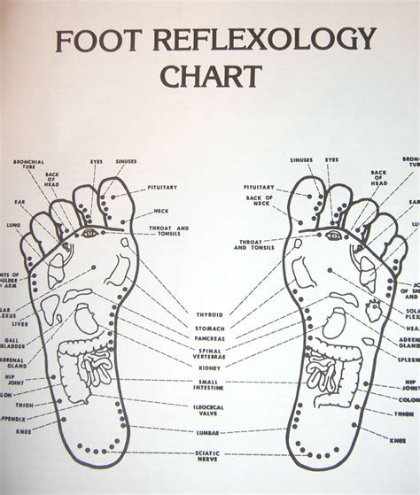 Acupressure Points Feet Chart