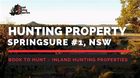 Springsure 1 Qld Pig Hunting Property Inland Hunting Properties