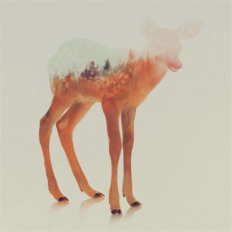 Wild Animals And Forest Landscapes Merge Beautifully In