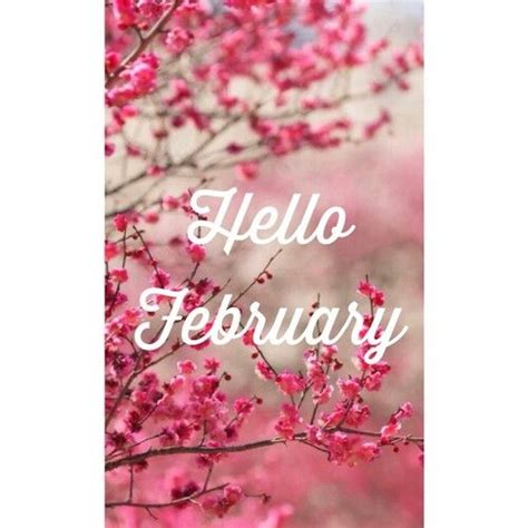 Hello February Pink Flowers Willkommen Februar Weihnachten