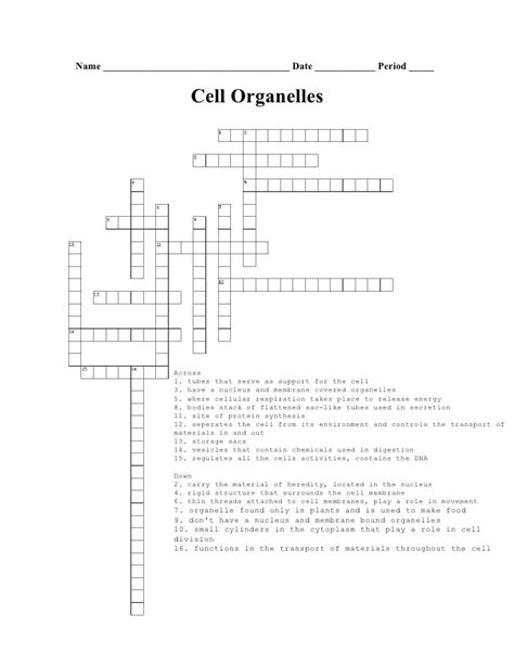 Biology Cell Organelle Crossword Puzzle And Microscope Review