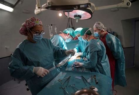 Brains Eyes Testes Off Limits For Transplants