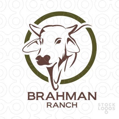 Through centuries of exposure to inadequate food supplies, insect pests, parasites, diseases and the weather extremes. Brahman logo | logo | Pinterest | Logos