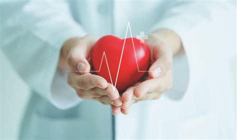 5 Heart Health Tips From Plant Based Medical Pros Vegnews