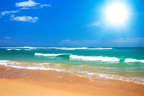 Free Download Desktop Wallpaper Beach Scenes Sunny Beach Photos Of