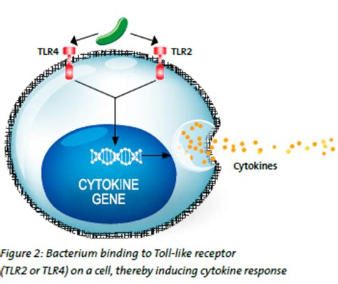 Procalcitonin Pct Different Pct Levels Due To Different Pathogens