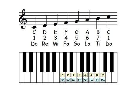 Scales Major Scale Theory Keys Piano Ology