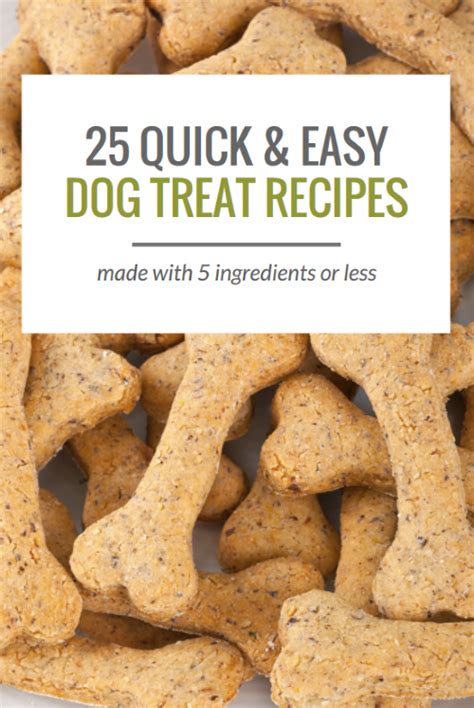 25 Simple Dog Treat Recipes Made With 5 Ingredients Or Less 2024