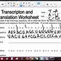 Transcription And Translation Practice Worksheets With Answe