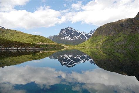 Lofoten Is An Arctic Warmth Paradisethey Even Have Deep Coral Reefs