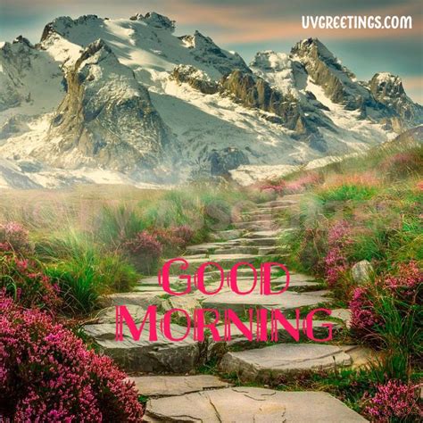 Beauty Of Nature 20 Images With Morning Wishes In 2021 Good Morning