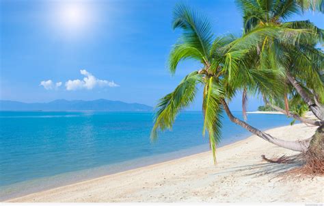 Enjoy our curated selection of 1723 summer wallpapers and backgrounds. Amazing summer wallpapers