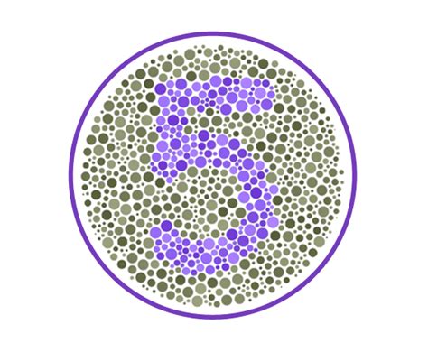 Enchroma Color Blindness Test Enchroma