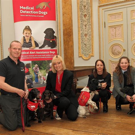 Stowe School Medical Detection Dogs