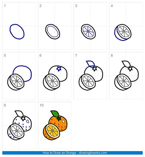 How To Draw An Orange Step By Step Easy Drawing Guides Drawing Howtos