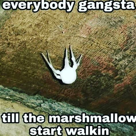 Everybody Gangsta Until The Marshmallow Starts Walking Everybody