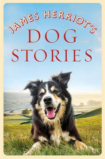 James Herriots Dog Stories By James Herriot Pan Macmillan