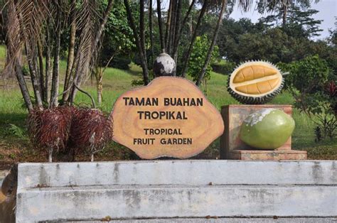 Located in shah alam, taman botani negara is malaysia's first agriculture park was opened to the public in 1986. Taman Botani Negara Shah Alam: A Day With Mother Nature