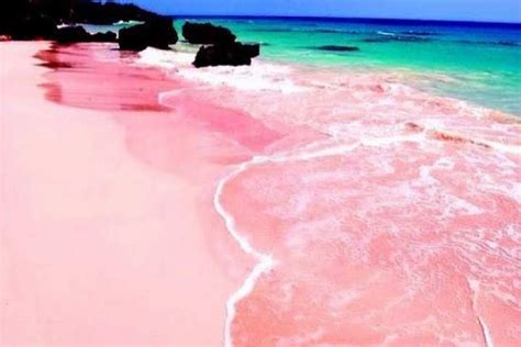 Ces Plages De Sable Rose Qui Donnent Envie De Partir En Vacances