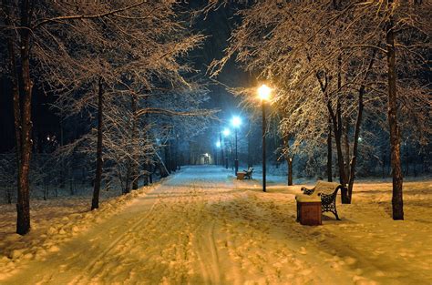 Winter Street At Night
