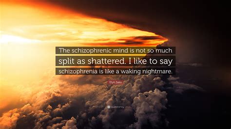 elyn saks quote “the schizophrenic mind is not so much split as shattered i like to say