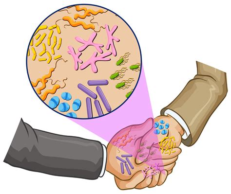 Bacteria When Shaking Hands 434479 Vector Art At Vecteezy