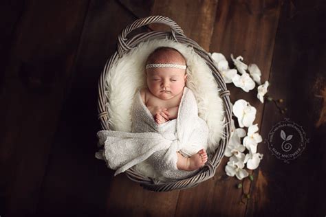 Discovering a special concepts has certainly never been easier. 3 month old Isabella….. Worcester MA newborn photographer ...