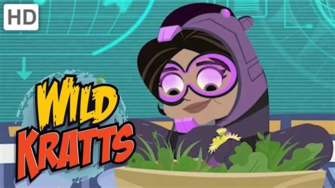 Wild Kratts Aviva Voice