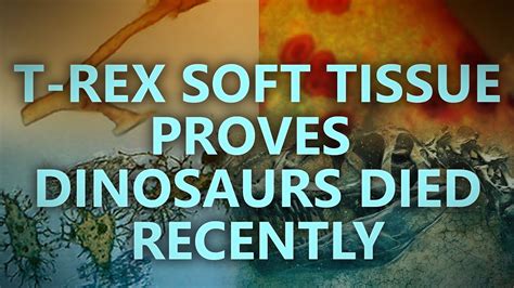 T Rex Soft Tissue Proves Dinosaurs Died Recently Youtube