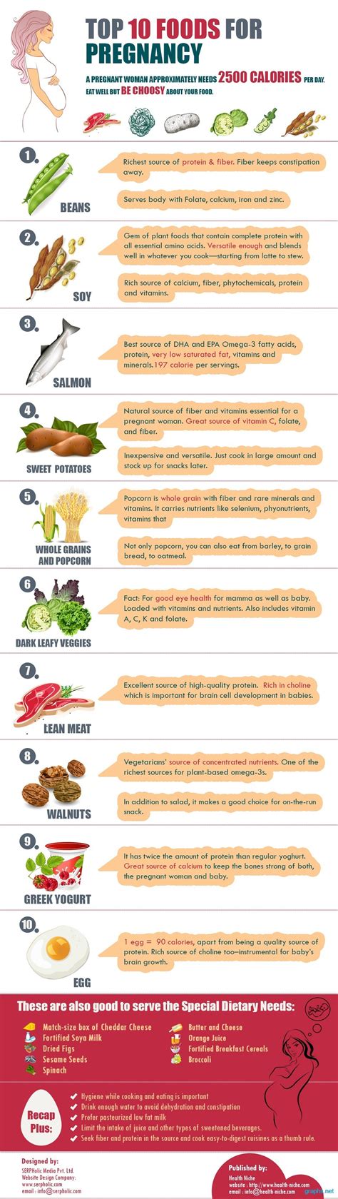 Healthy Diet For Pregnancy Women Infographics By