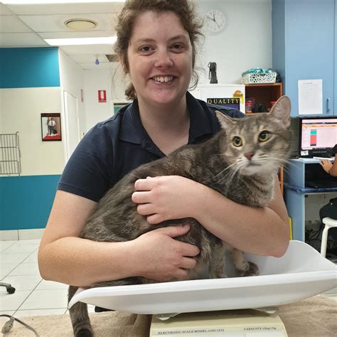 Pet Sitter near me, Pet Sitting in Yeerongpilly, QLD | PetCloud | Laura