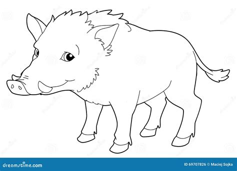 Boar Coloring Pages Kidsuki