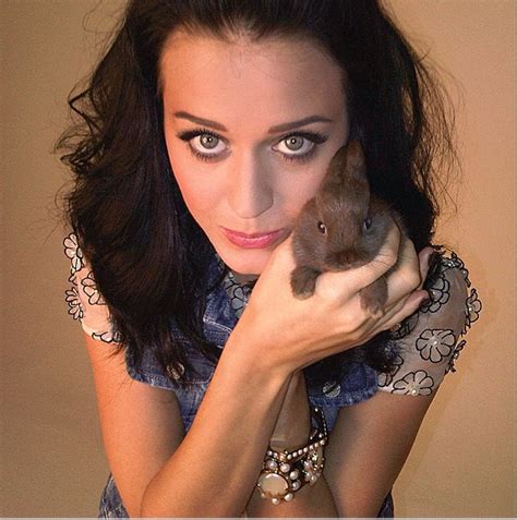 Katy Perry Pets Celebrity Pets