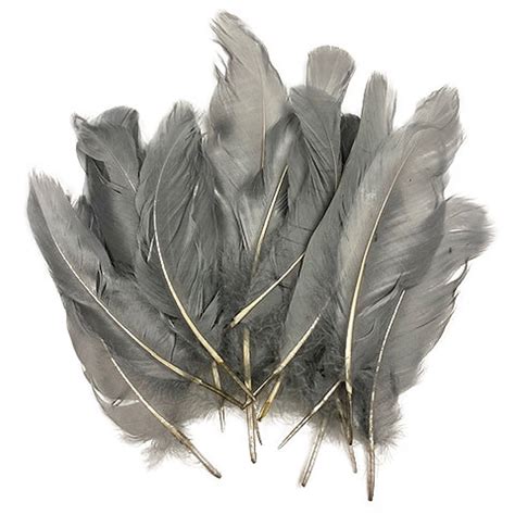 Goose Satinette Feathers 4 6 Silver Grey Loose Goose Etsy