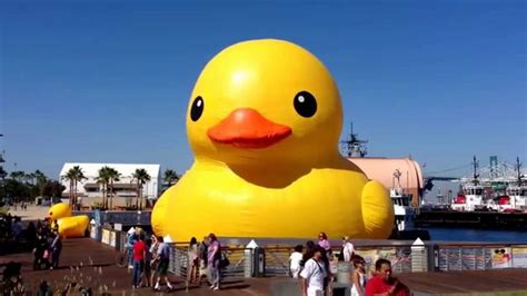 Artist Florentijn Hofmans Rubber Duck At Port Of Los Angeles Youtube
