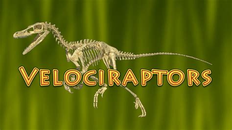 10 Facts About Velociraptor Dinosaurs For Kids Raptor