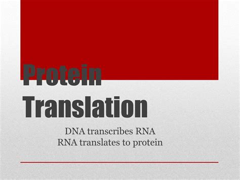 Dna Transcribes Rna Rna Translates To Protein Ppt Download