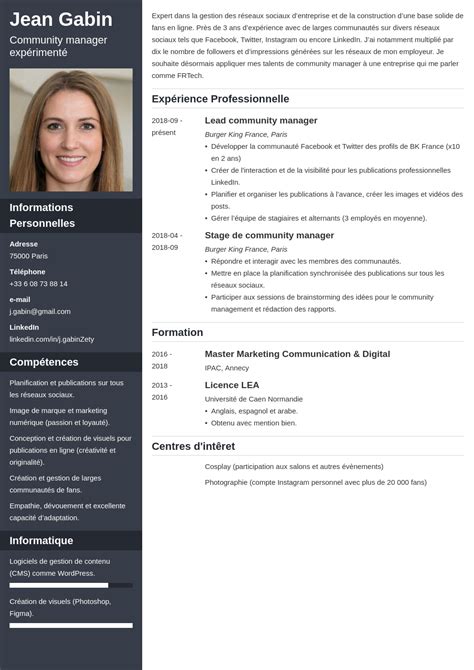 Resume En Francais Exemples Photos Cantik