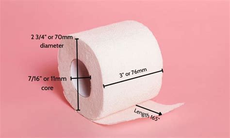 Toilet Paper Roll Dimensions Size Chart Included