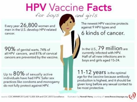 Like all vaccines, hpv vaccines are not foolproof. New Study On HPV Vaccine | The PediaBlog