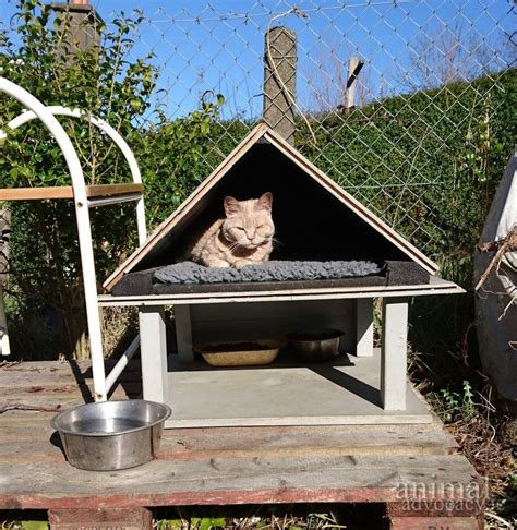 Feral Cat Shelters
